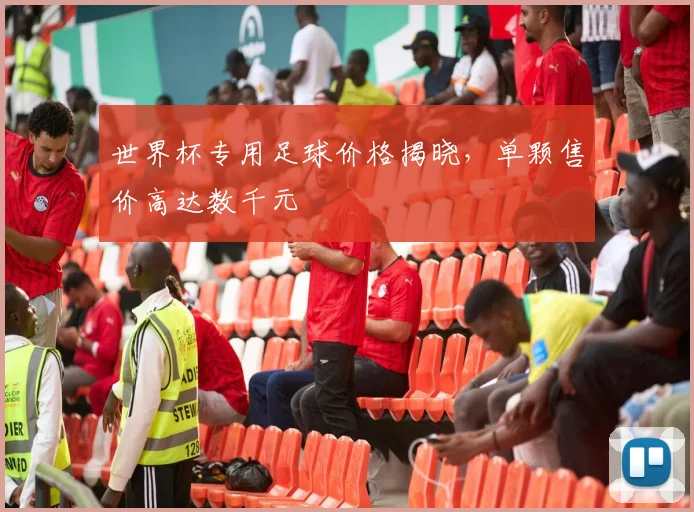 世界杯专用足球价格揭晓,单颗售价高达数千元