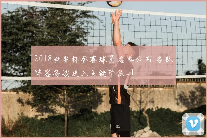 2018世界杯参赛球员名单公布 各队阵容备战进入关键阶段_1