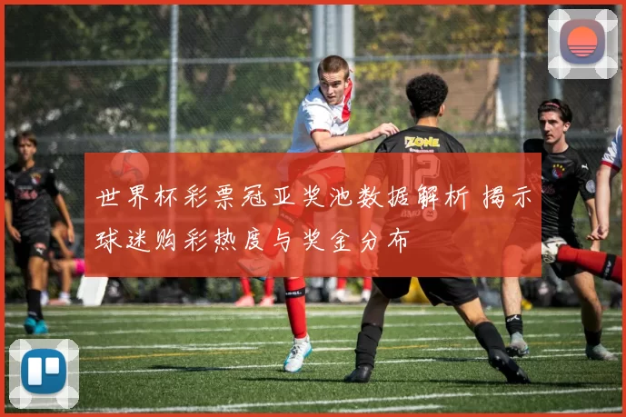 世界杯彩票冠亚奖池数据解析 揭示球迷购彩热度与奖金分布