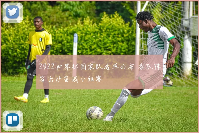 2022世界杯国家队名单公布 各队阵容出炉备战小组赛